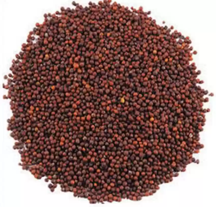 Mustard Seeds 400g